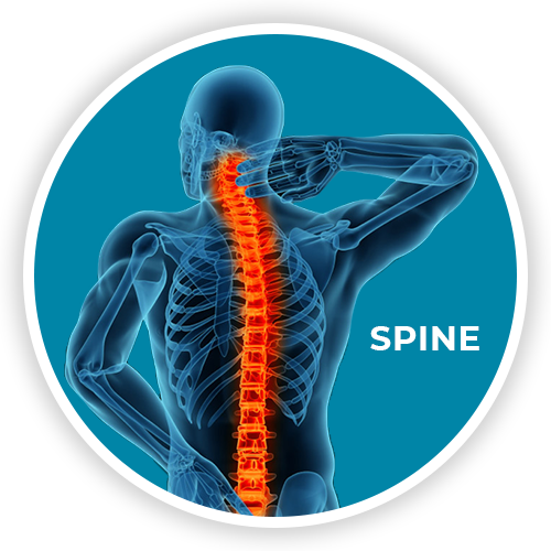 SPINE